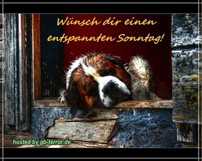 Gaestebuchbild Sonntagsgruß