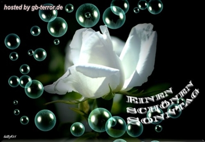 GB Bild Sonntagsgruesse