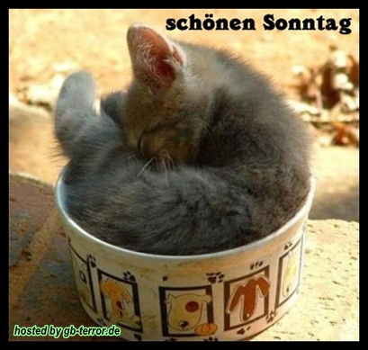 GB Bild Sonntagsgruss