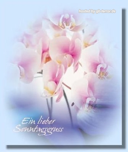 GB Eintrag Sonntagsgrueße