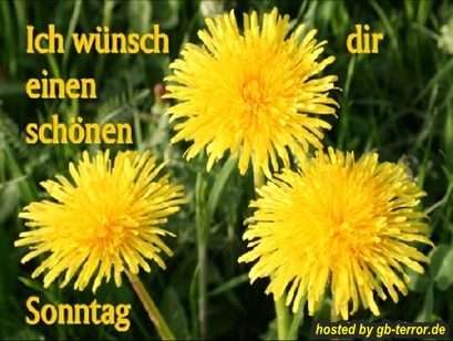 GB Eintrag Sonntagsgruß