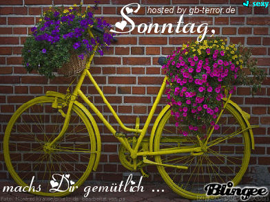 GBBild Sonntag