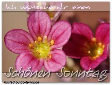 GBPic Sonntag