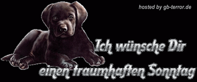 Sonntag Gästebuch Bild