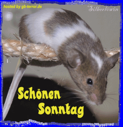 Sonntag Gaestebuch Bild