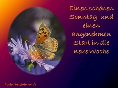 Sonntag Gästebuch Bild