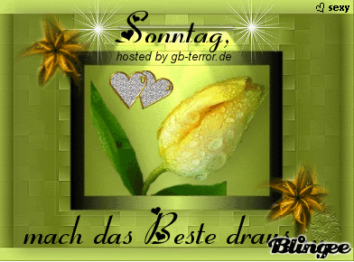 Sonntag Gästebuch Pic