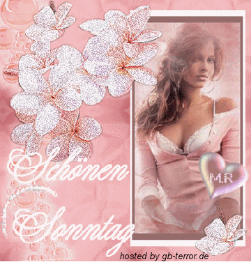 Sonntags Gaestebuch Bild