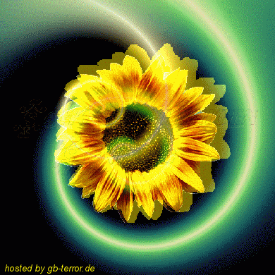 Sonntags Gaestebuch Bild