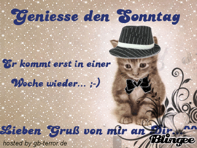 Sonntags Gästebuch Bild