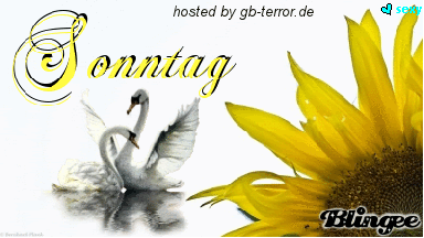 Sonntags Gästebuch Pic