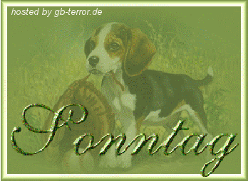 Sonntags Gästebuchbild