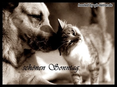 Sonntagsgrüße Gästebuch Bild