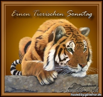 Sonntagsgruesse Gästebuch Bild