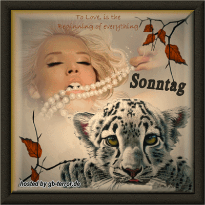 Sonntagsgrueße Gaestebuchbild