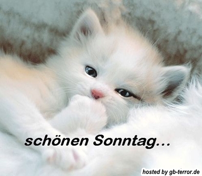 Sonntagsgruesse GB Eintrag