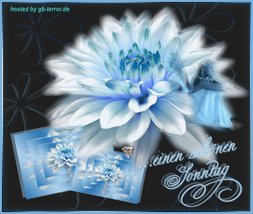 Sonntagsgruesse GB Eintrag