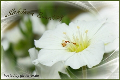 Sonntagsgruesse GB Pic