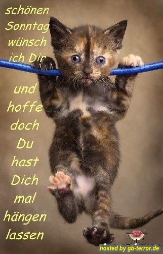 Sonntagsgruss Gaestebuch Bild