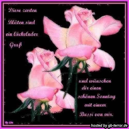 Sonntagsgruss Gaestebuch Bild