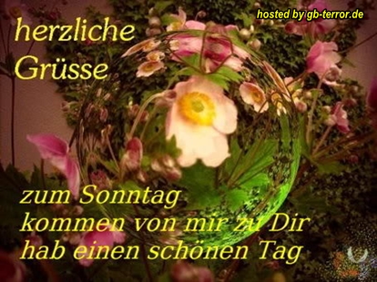 Sonntagsgruß Gaestebuch Bild