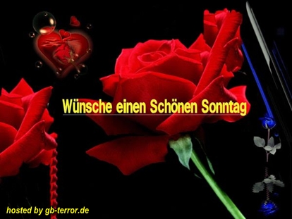 Sonntagsgruss Gaestebuch Bild