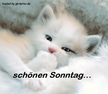 Sonntagsgruß Gästebuch Bild