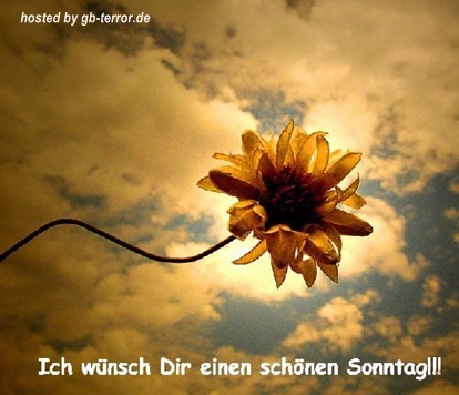 Sonntagsgruss Gästebuch Pic