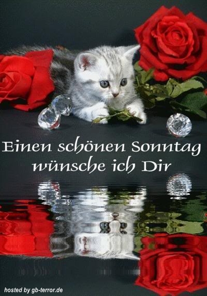 Sonntagsgruss Gaestebuchbild