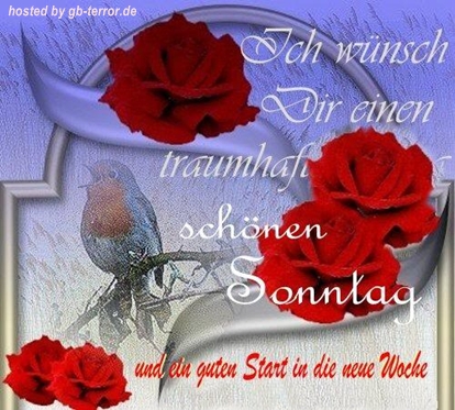 Sonntagsgruss Gaestebuchbild