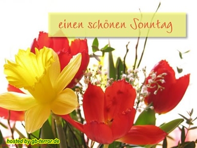 Sonntags Gruss GBBild