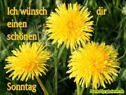 Sonntagsgruss GBBild