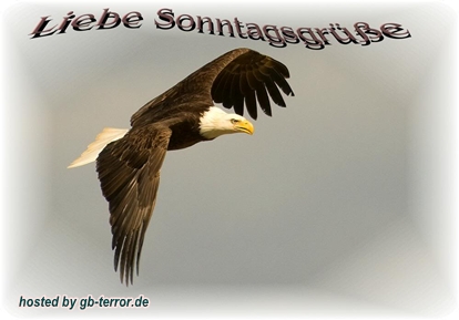 Sonntagsgruss GBPic