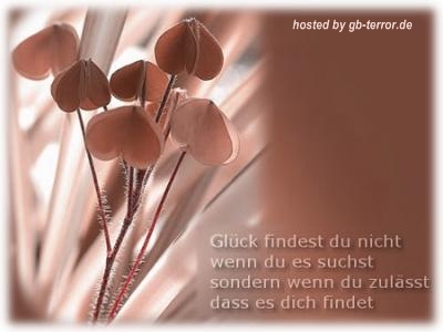 Gästebuch Spruch Bild