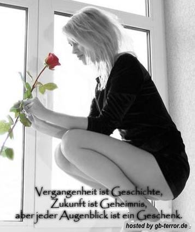 Gästebuch Spruch Bild