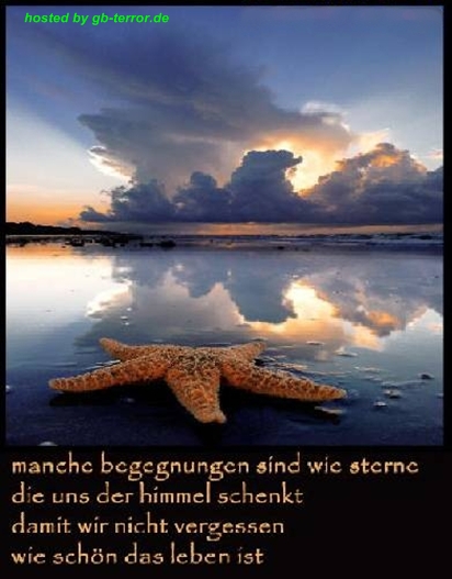 Gaestebuch Sprueche-Bild