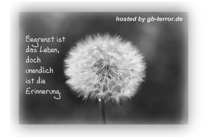 Gaestebuch Sprüche-Pic