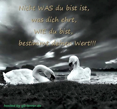 Gaestebuch Sprueche Bild