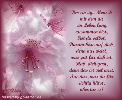 Gaestebuch Sprueche Pic