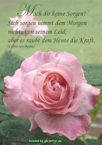 Gästebuch Sprüchebild