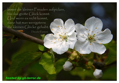 Gästebuch Spruechebild