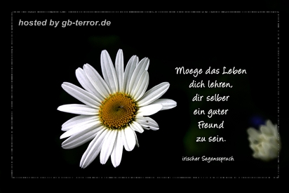 Gaestebuch Spruechebild