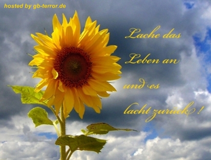 Gästebuch Spruechepic