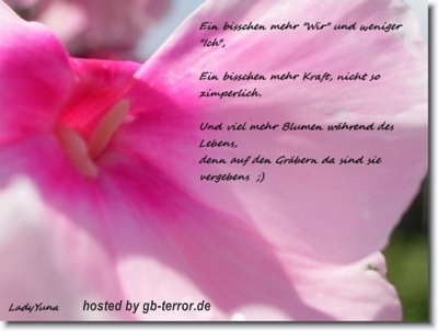 GB Spruch-Bild