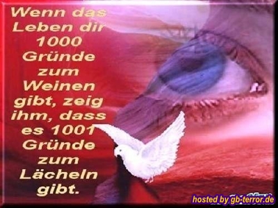GB Spruch Pic