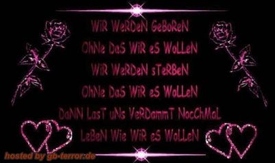 Spruch Gästebuch-Pic