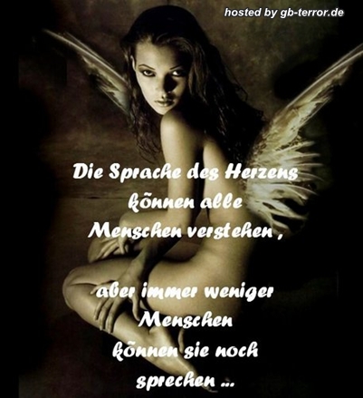 Spruch Gaestebuch-Pic