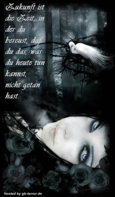 Spruch Gästebuch Bild