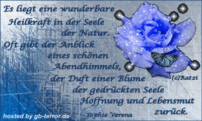 Spruch Gästebuch Bild