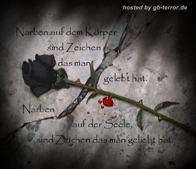 Spruch Gästebuchbild